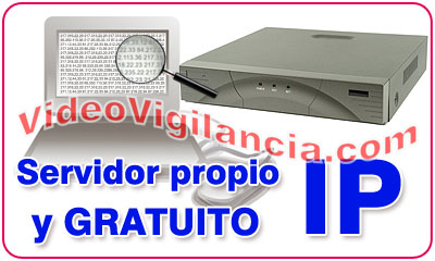 Servicio propio y gratuito de IP dinámica.